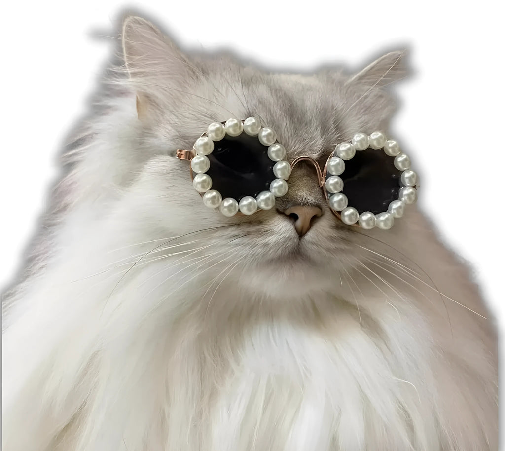 Pearl-rimmed round sunglasses for cats and dogs in five colour options with two size choices