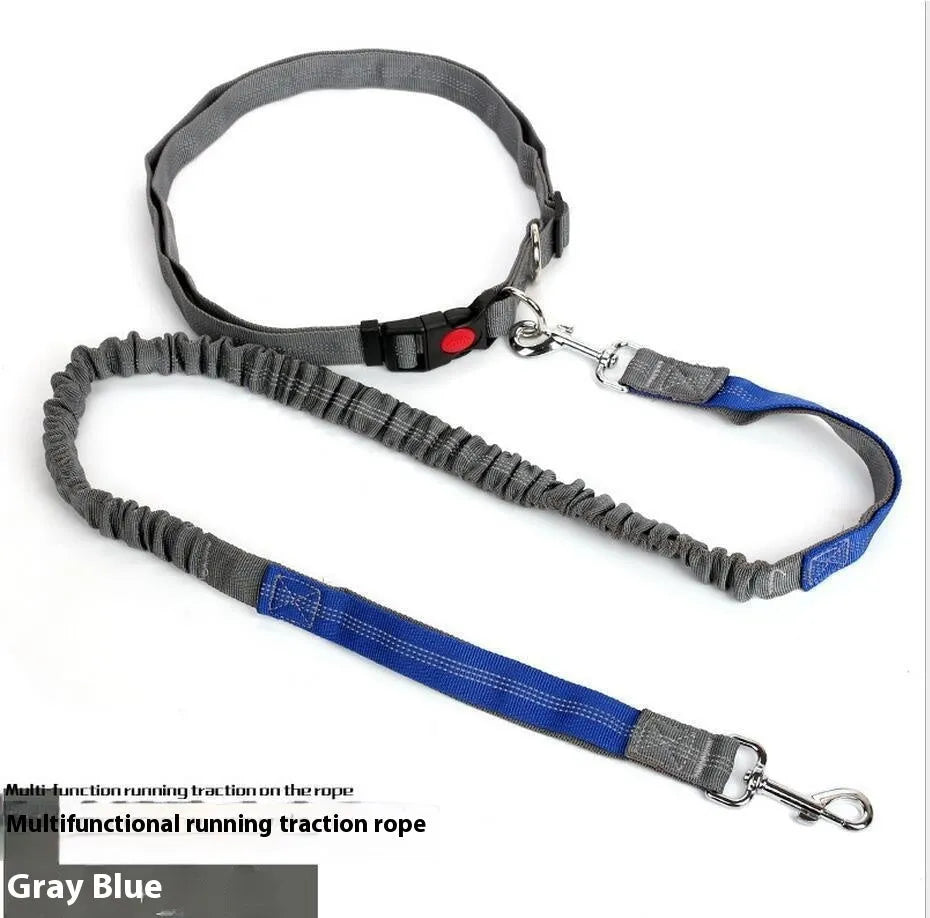 Reflective nylon dog leash with elastic sling in multiple colour options for outdoor running