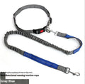 Reflective nylon dog leash with elastic sling in multiple colour options for outdoor running