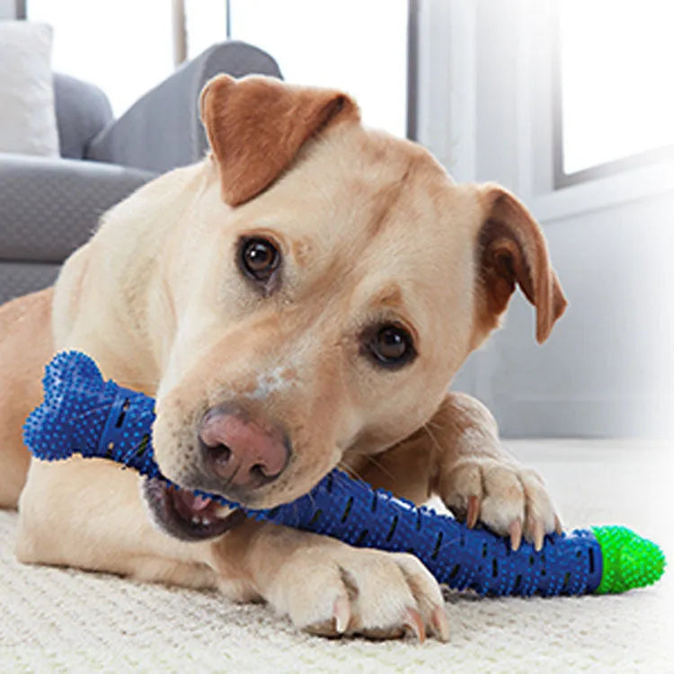 Blue-green silicone dog dental chew toy with brush head design and gum massage nodules for teeth cleaning