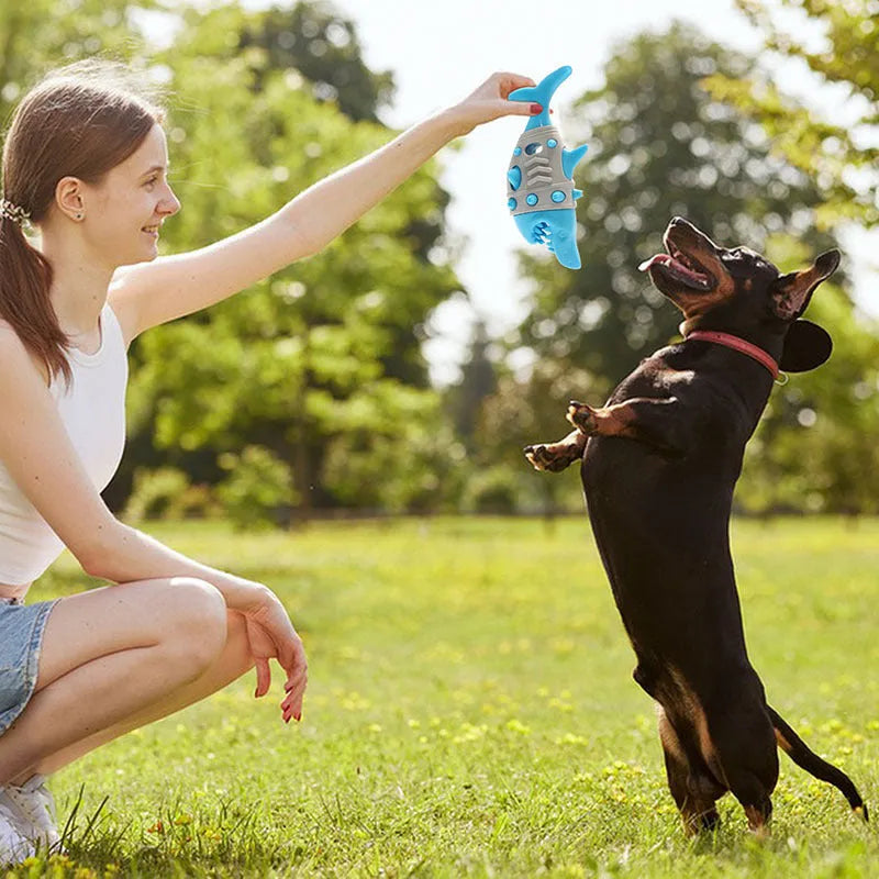 Blue shark tooth dog teething toy with textured cleaning surface