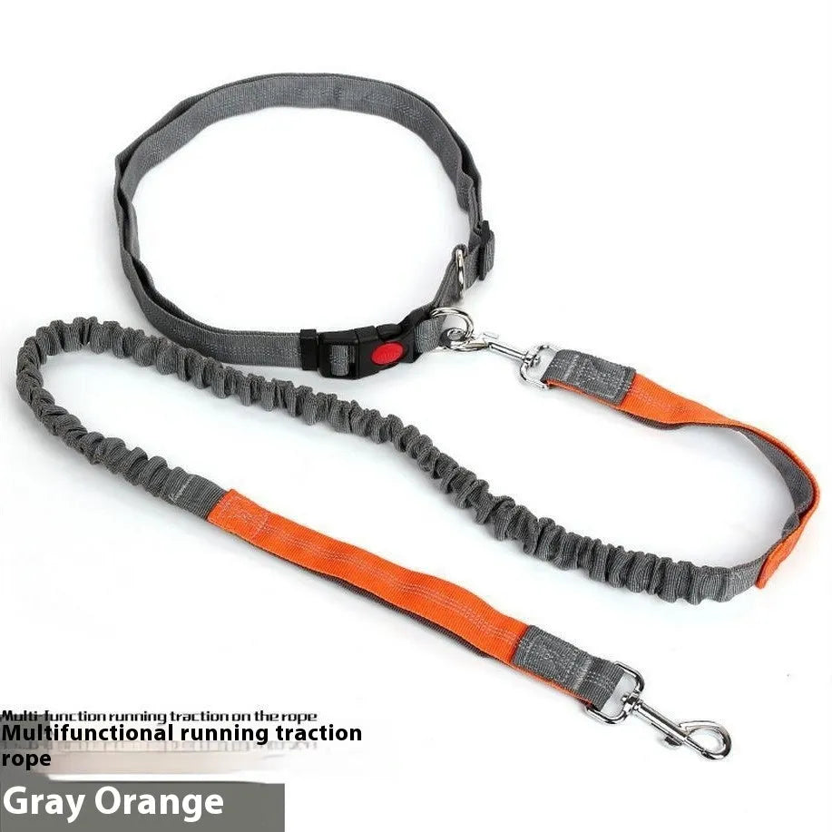 Reflective nylon dog leash with elastic sling in multiple colour options for outdoor running