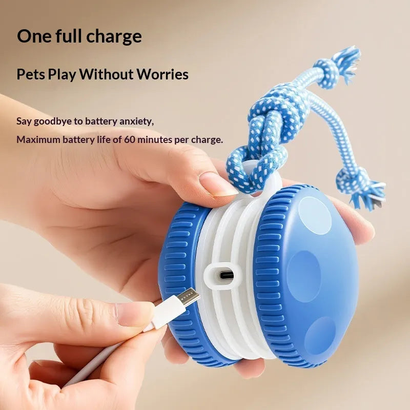 Rechargeable orange rolling ball pet toy made from durable ABS plastic with automatic movement for cats and dogs