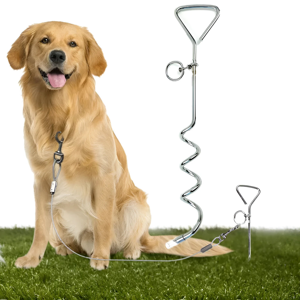 Silver spiral dog tie-out stake for outdoor tethering in sandy ground