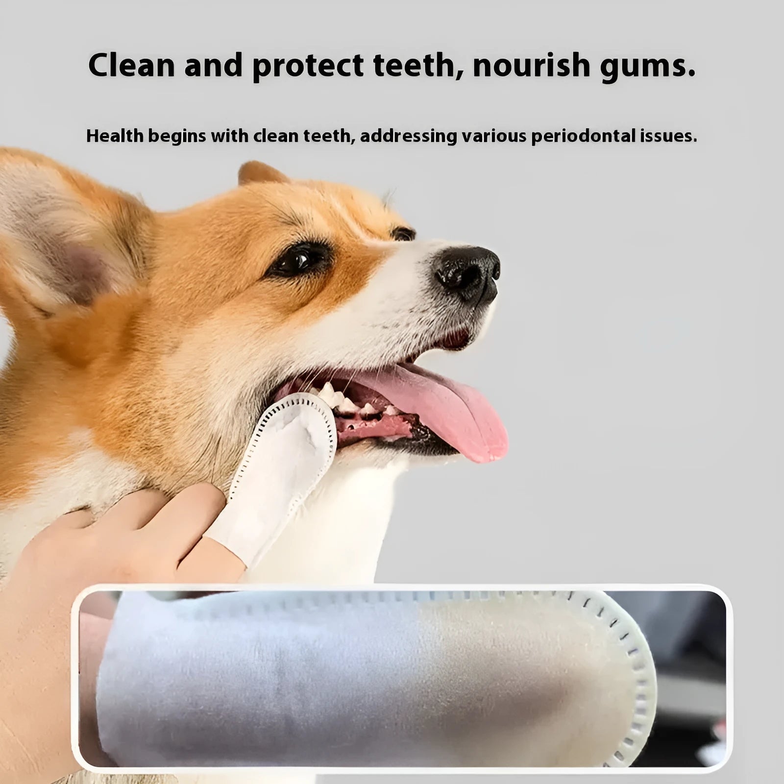 50 non-woven pet dental finger stalls for cleaning cat and dog teeth