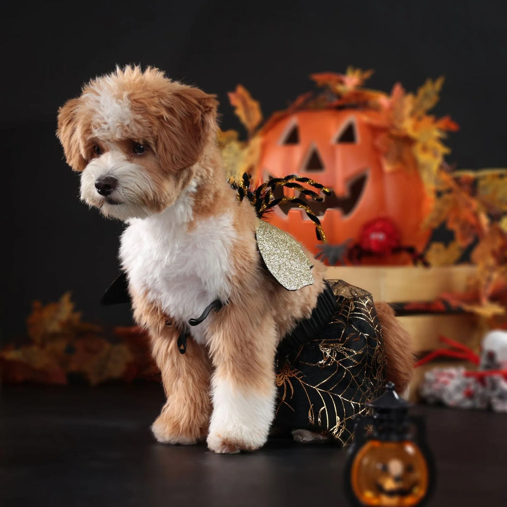 Polyester pet dog costume in suit colour for Halloween and parties, sizes S M L XL