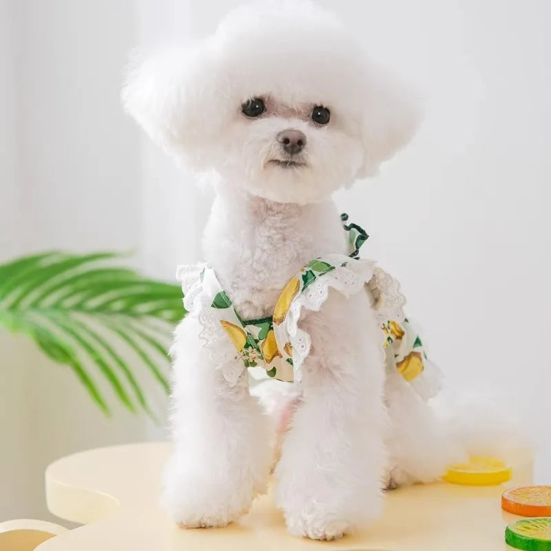 Rock yellow lemon polyester dog dress with adjustable strap skirt in princess style for small dogs