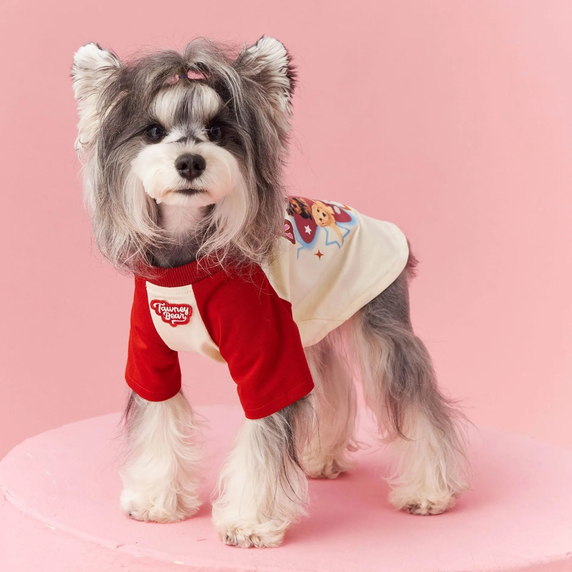 Cotton dog t-shirt with embroidered red and pink contrast colours for summer wear