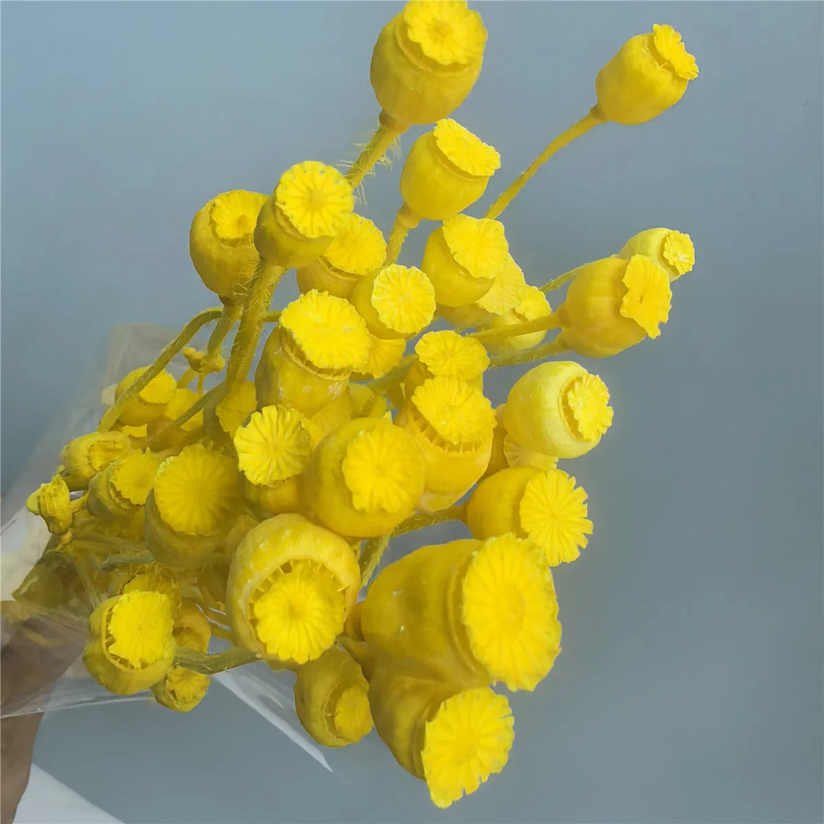 Dried flower Yu Meiren fruit DIY material bundle in multiple colours for corsage and headdress making