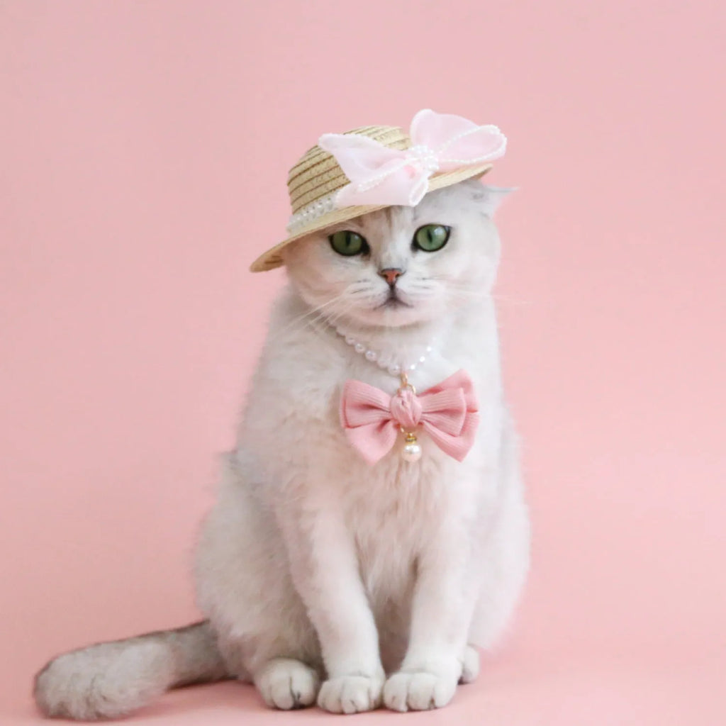 Cat wearing a woven straw hat with a pearl butterfly bow on its head.