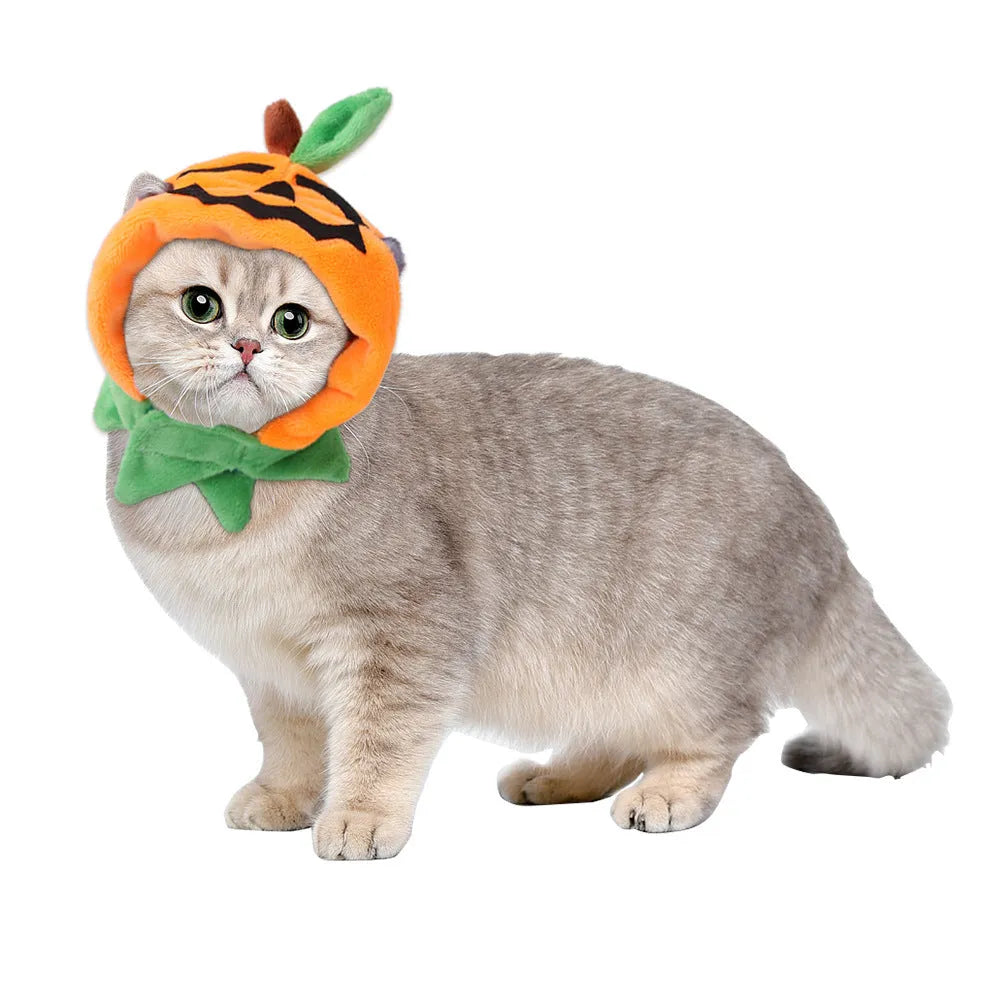 Orange plush pumpkin cloak with hood for a dog on Halloween