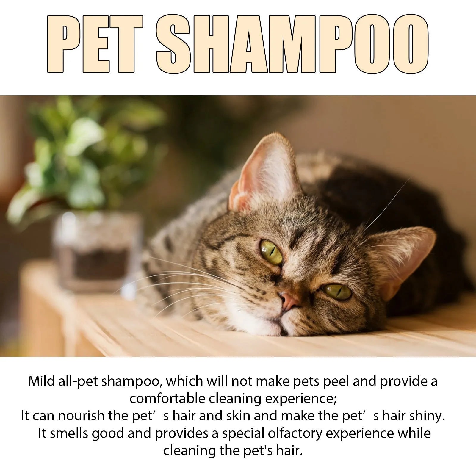 Mild pet shampoo bottle for cats and dogs in 100ml and 300ml sizes