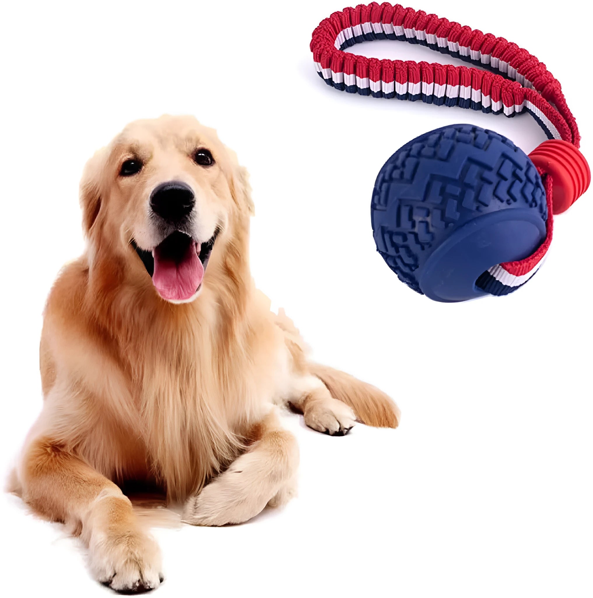 Blue natural rubber dog ball with rope toy showing textured surface, sized for medium and small dog breeds