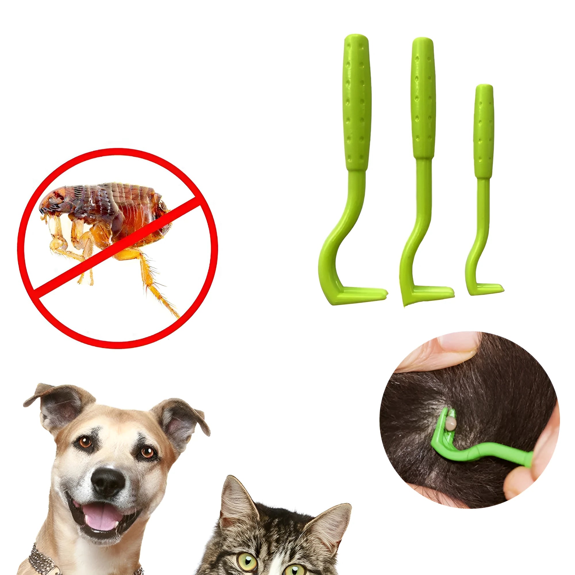 Three plastic pet tick removal clips in blue and green colours for cat and dog parasite control