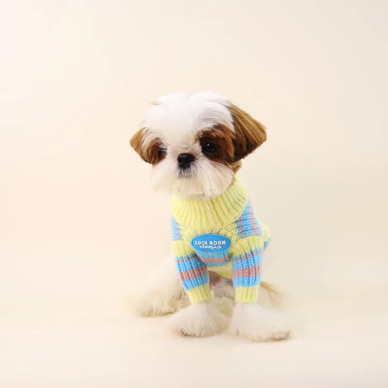 Blue and yellow striped wool dog sweater for small breeds in casual style