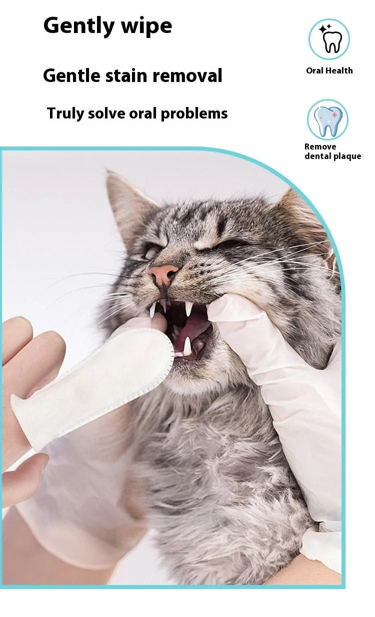 50 non-woven pet dental finger stalls for cleaning cat and dog teeth