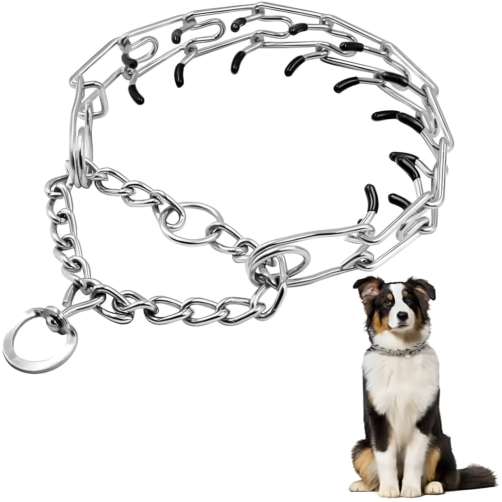 Stainless steel dog training pinch collar with adjustable links and rubber tips on prongs