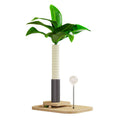 Tall canna-coloured wooden cat scratching post with a food drop ball attached.