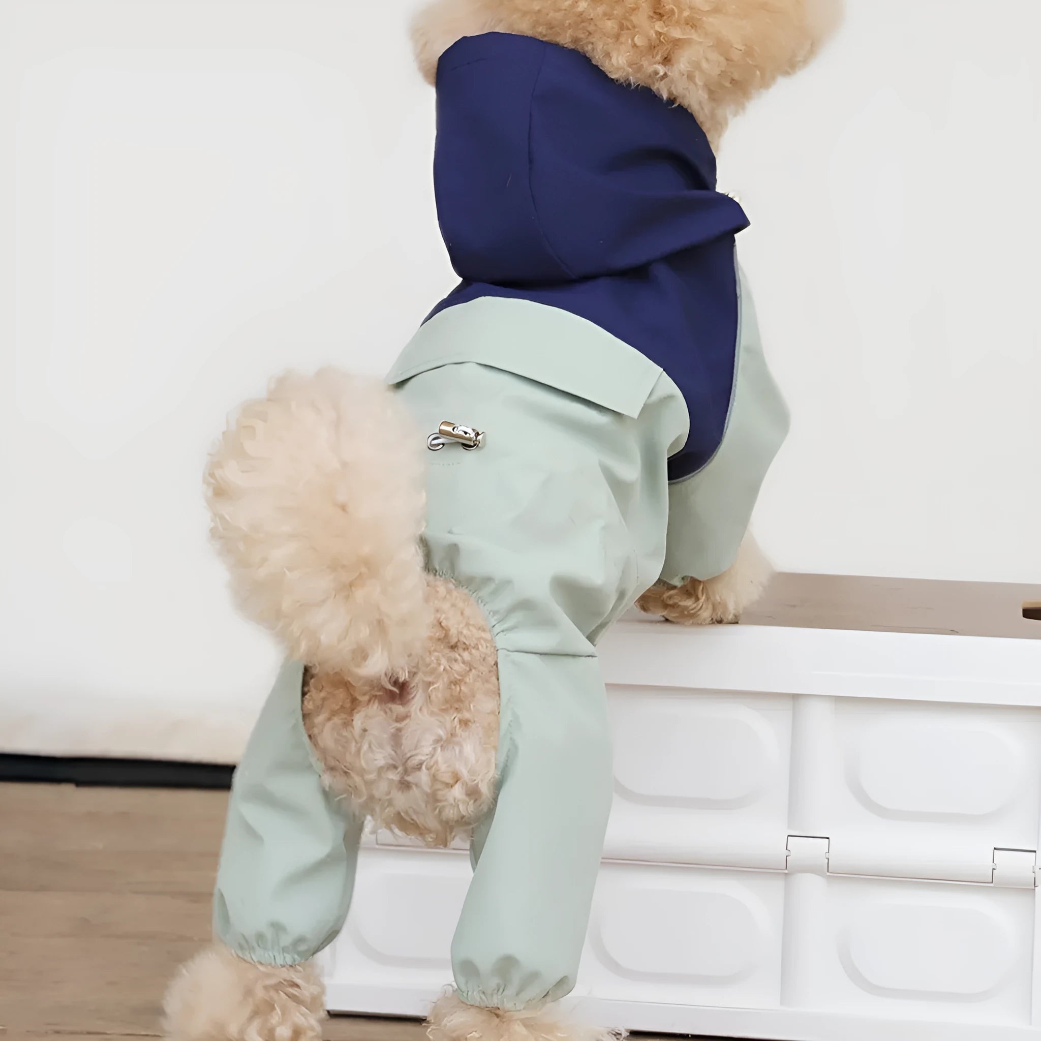 British style waterproof polyester shell jacket for small and medium sized dogs