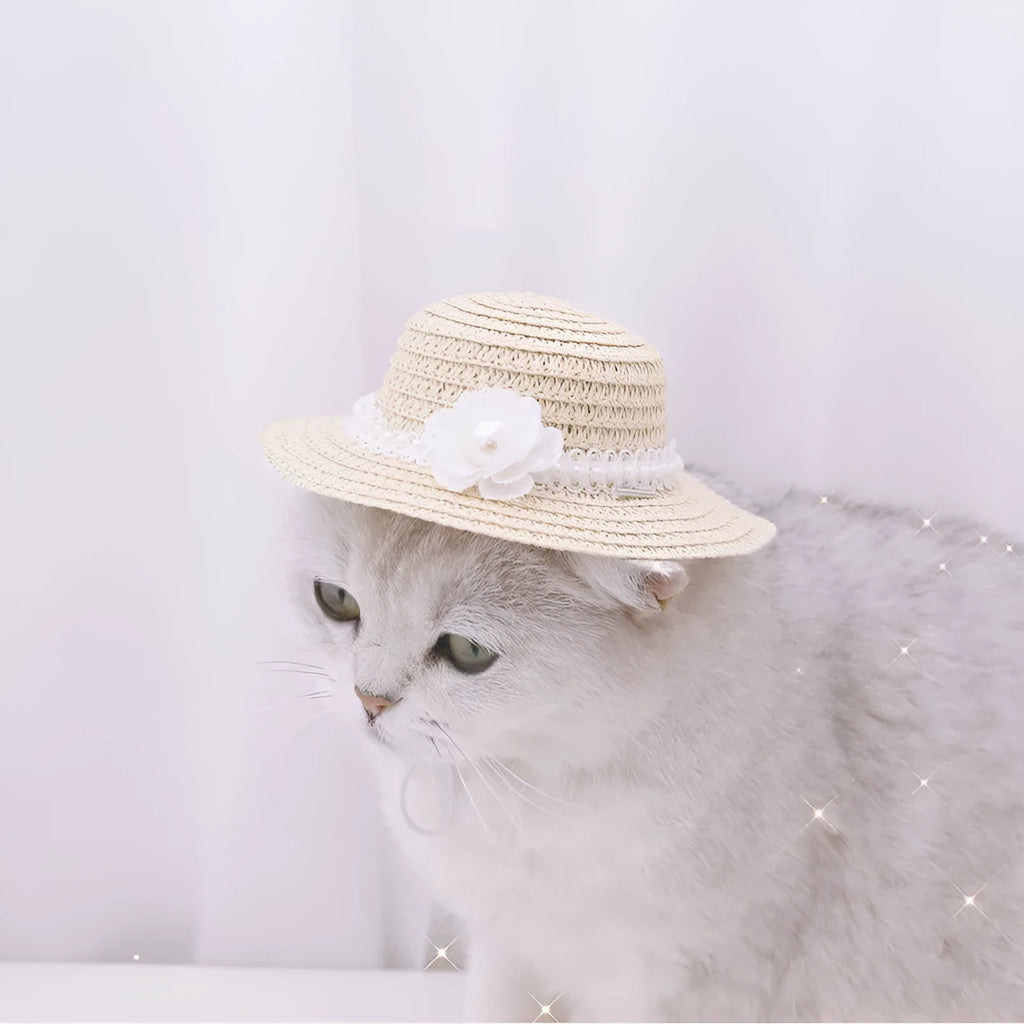 Handmade adjustable bowknot pet hat for a dog or cat in a cartoon style.