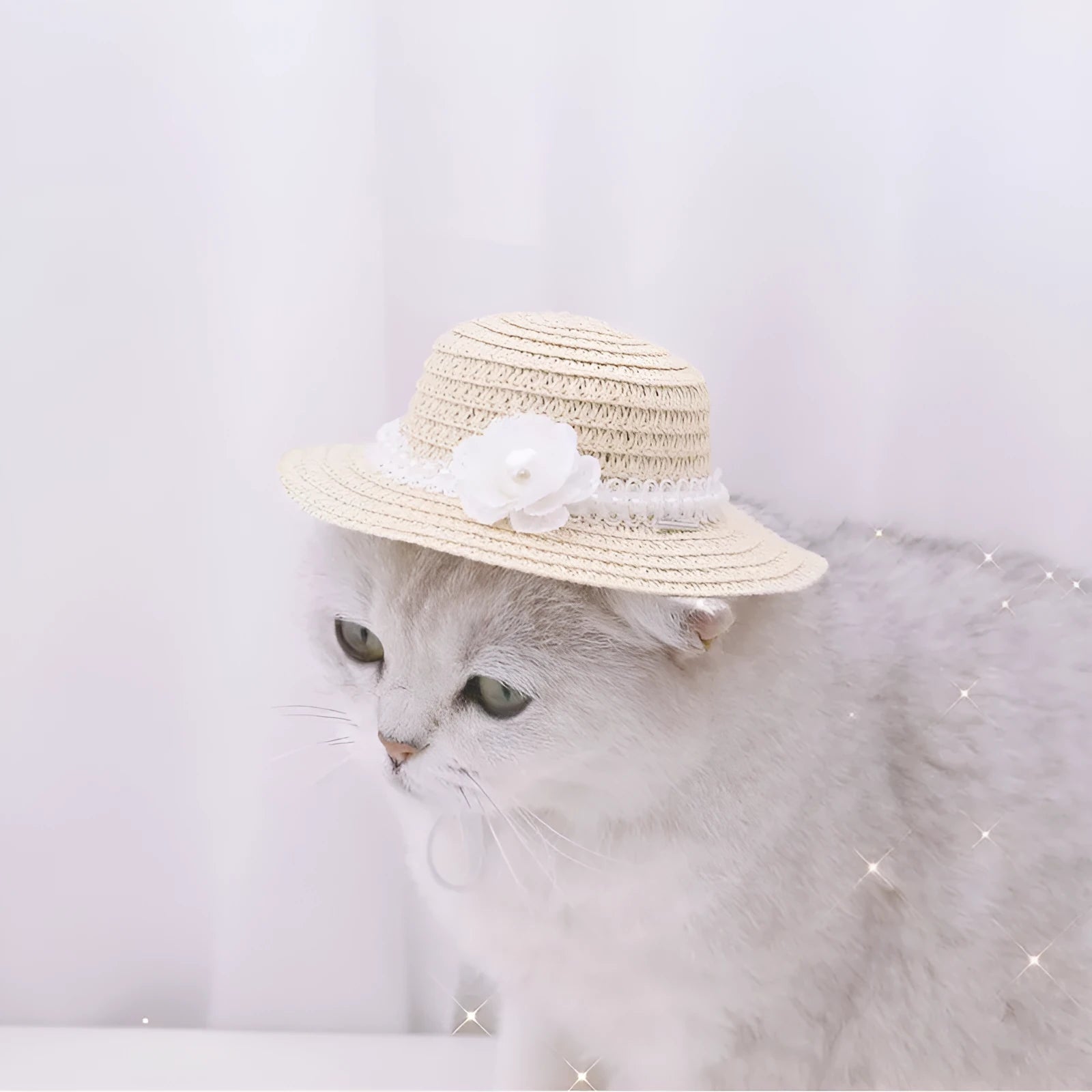 Handmade adjustable bowknot pet hat for a dog or cat in a cartoon style.