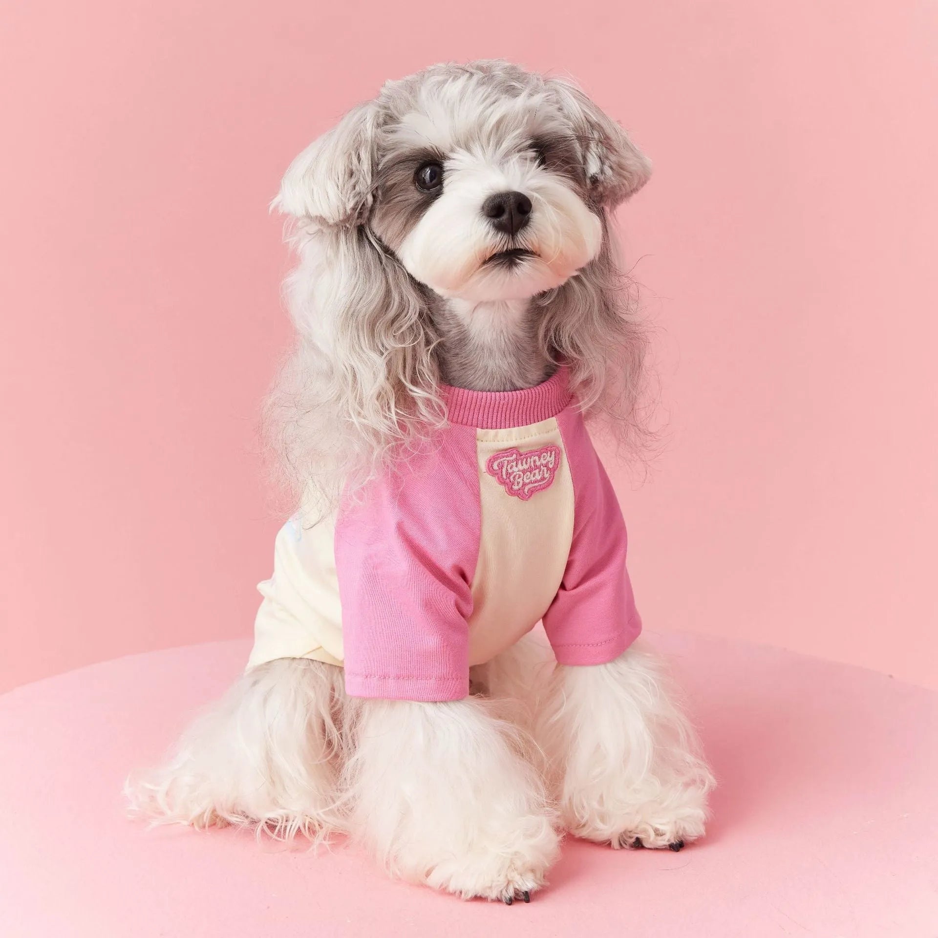 Cotton dog t-shirt with embroidered red and pink contrast colours for summer wear