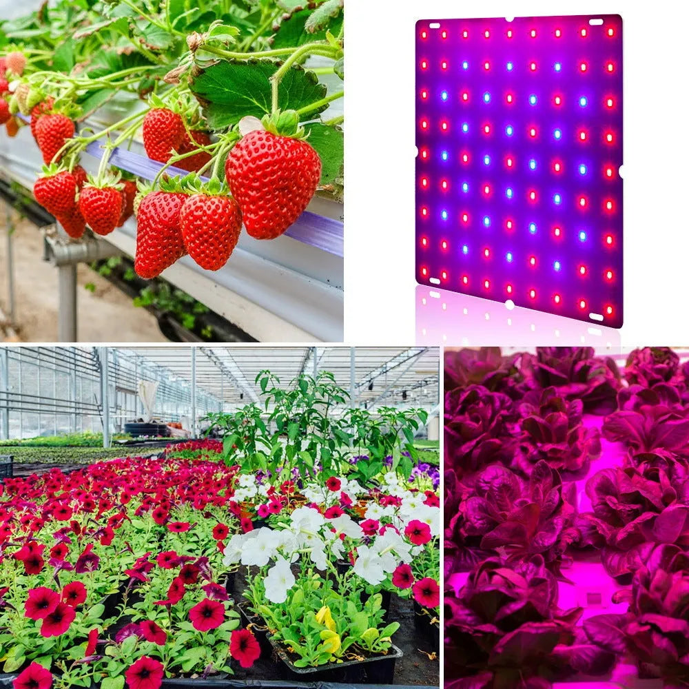 D-section aluminum LED plant growing light with hook for indoor vegetables and fruits.