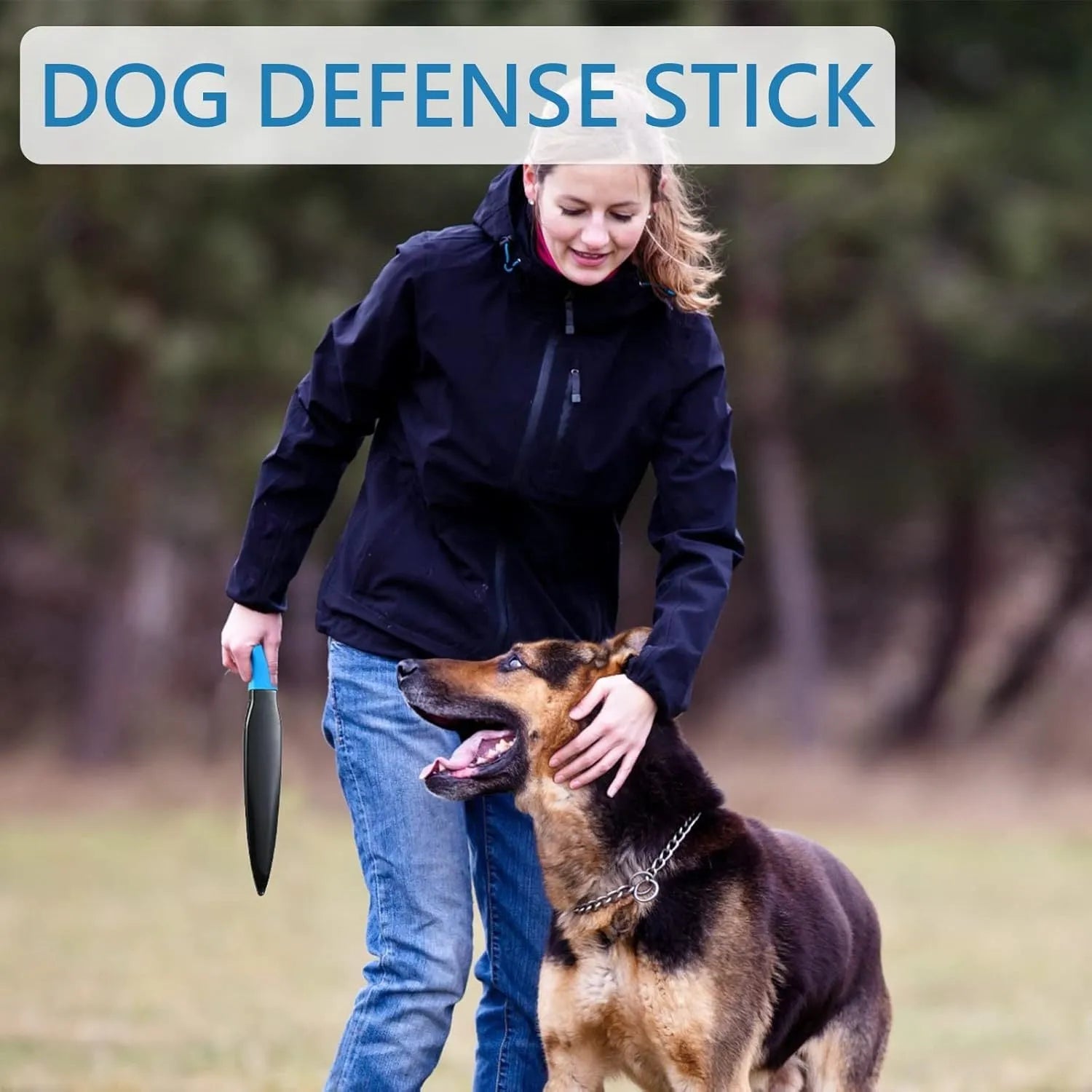 Blue-handled nylon dog break stick measuring 35 cm for small to medium dog training