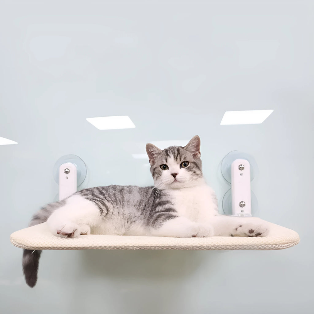 Stainless steel framed cat hammock with suction cups attached to a window, shown in grey plush fabric.