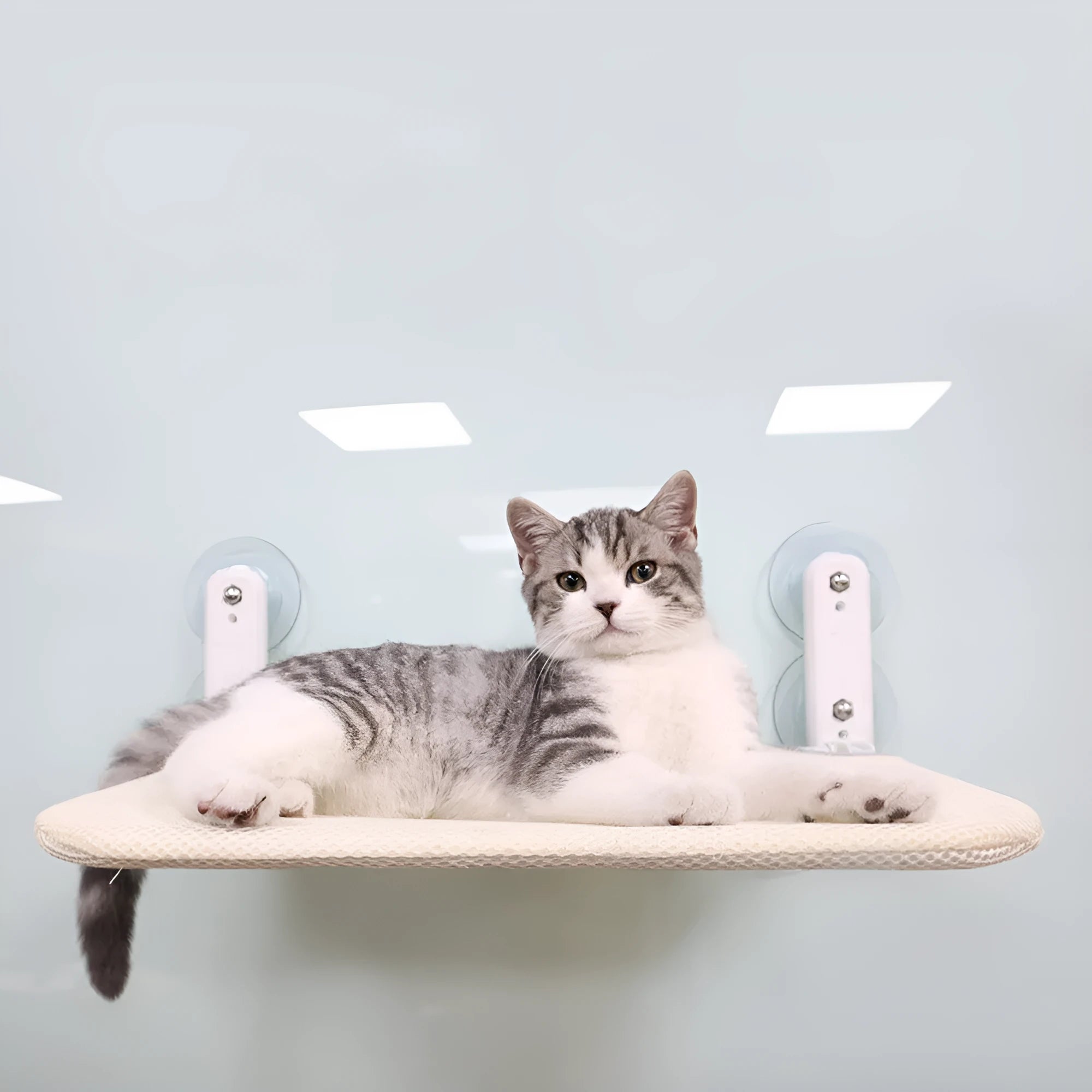 Stainless steel framed cat hammock with suction cups attached to a window, shown in grey plush fabric.