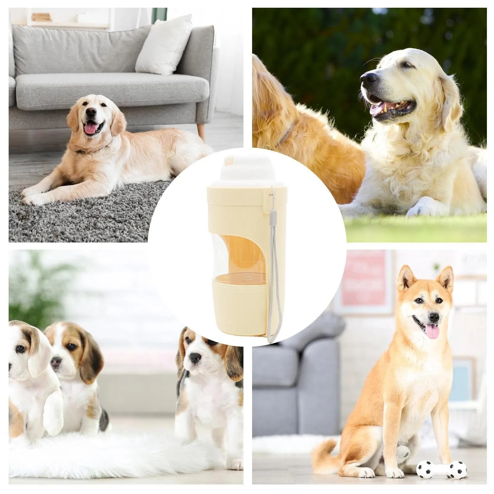 Green portable pet water bottle and food feeder with attached lanyard, showing transparent cup design.