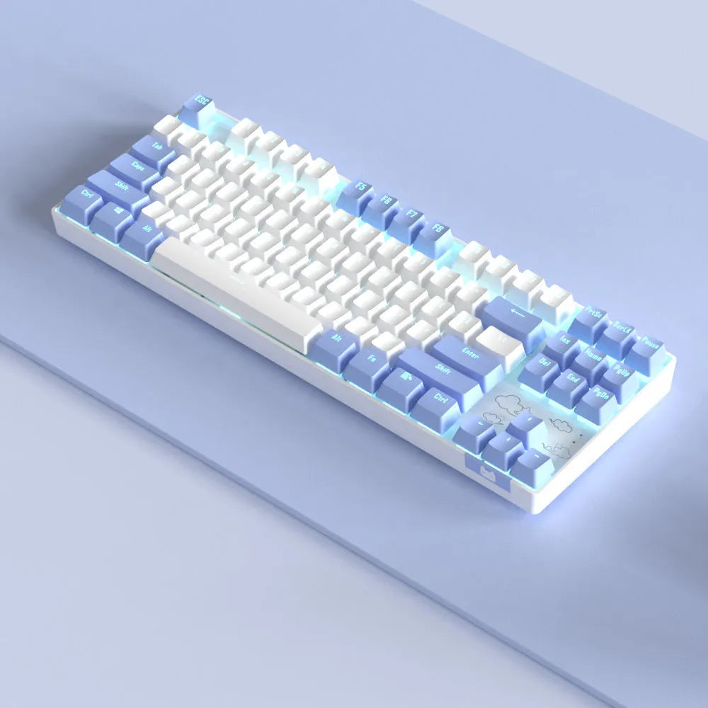 Wireless aluminium mechanical keyboard with hot-swappable switches in blue white colour option