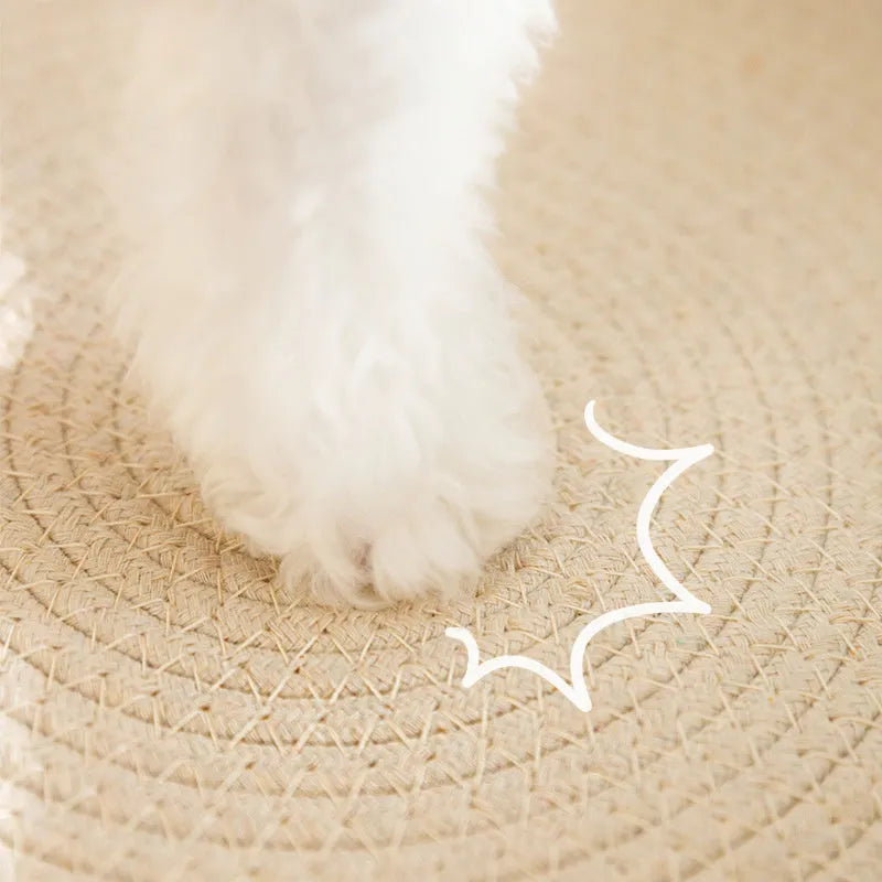 Green oval cat scratch pad bed with sisal scratching surface measuring 650x420mm