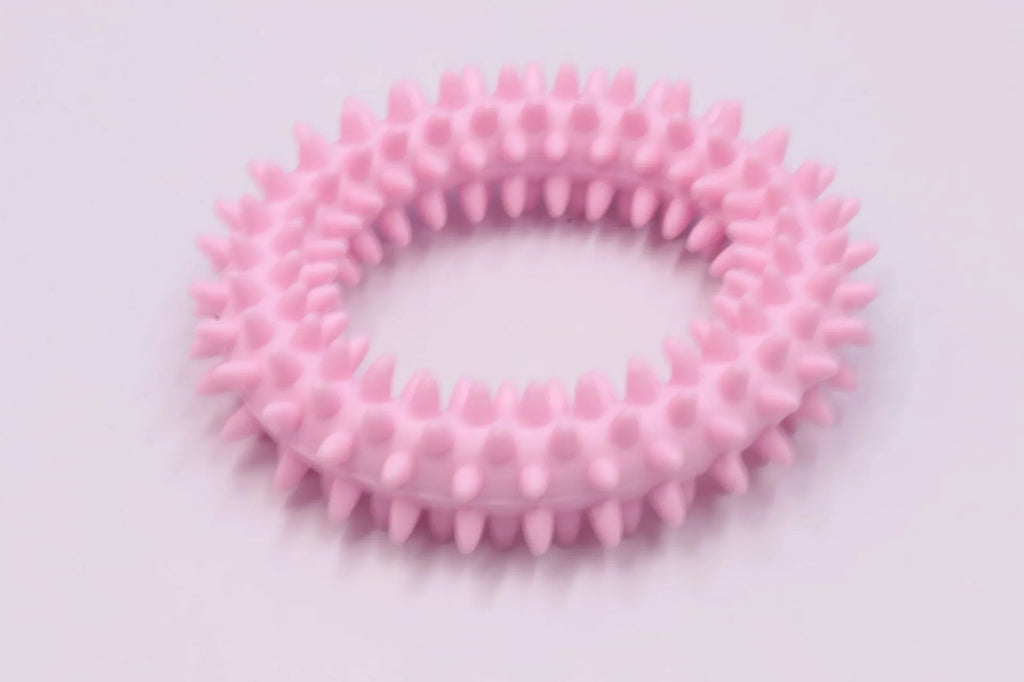 Blue TPR spiky circle dog chew toy on a white background showing dental nubs and ring shape.