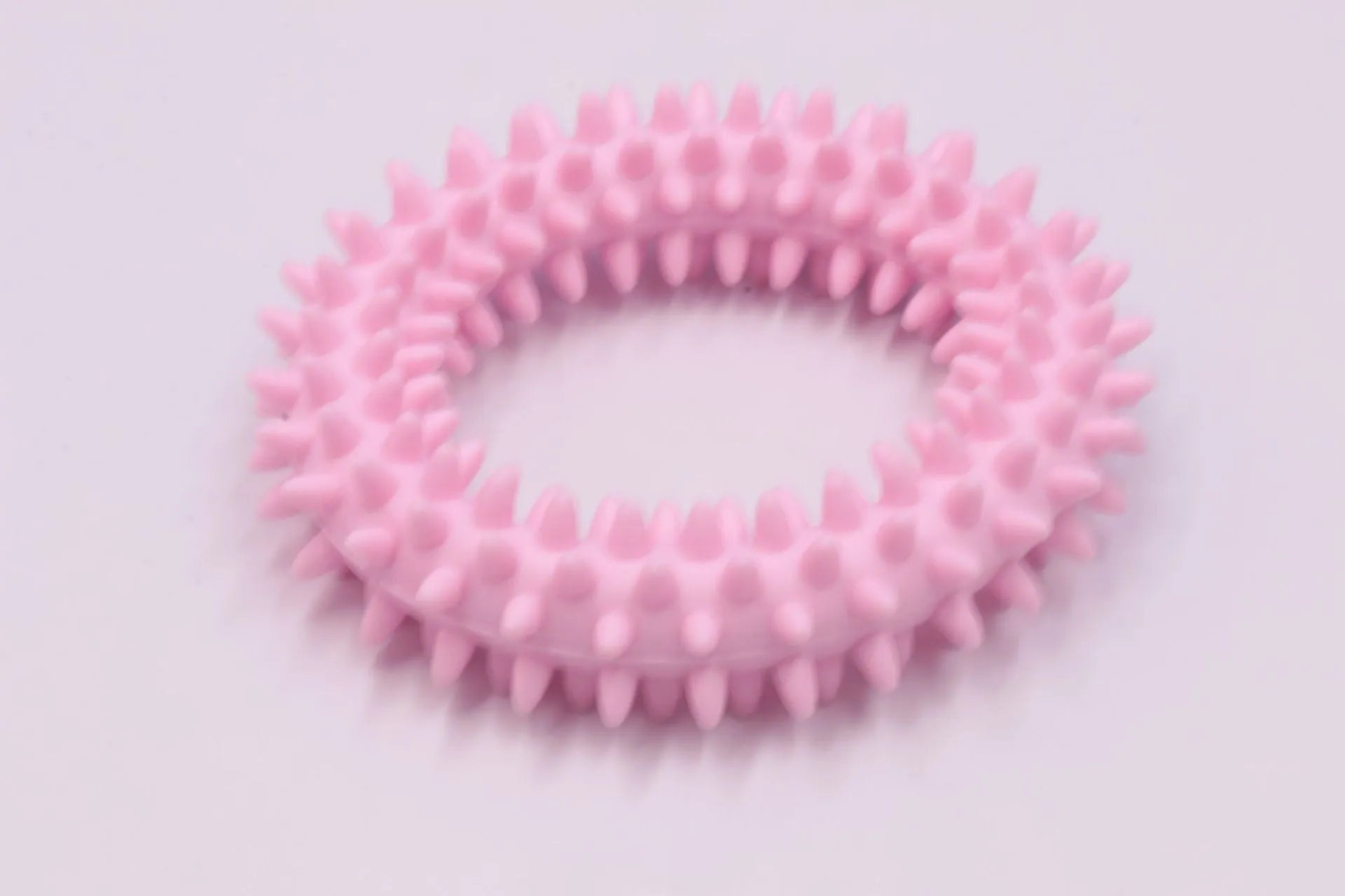 Blue TPR spiky circle dog chew toy on a white background showing dental nubs and ring shape.
