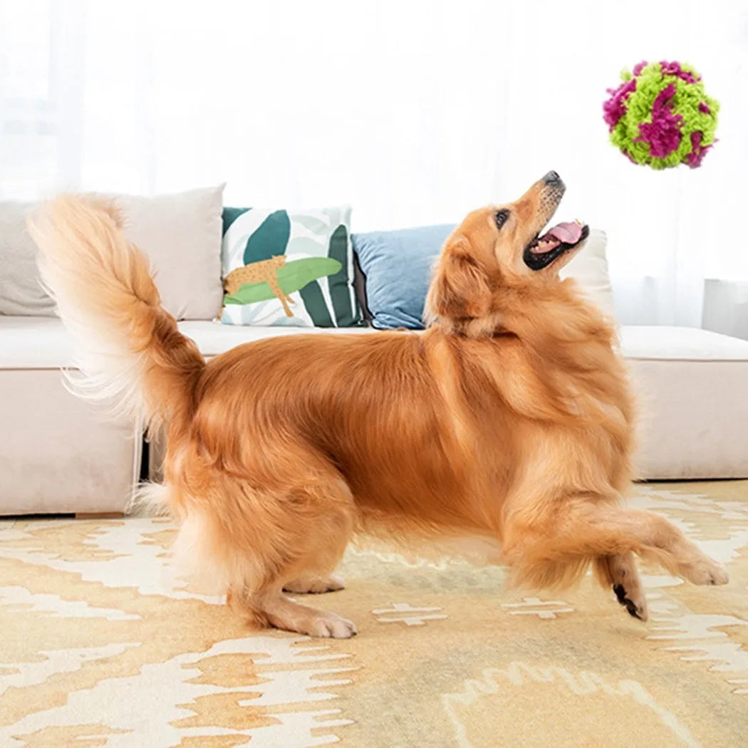 Purple plush dog ball toy with seaweed ball design for teething and interactive play