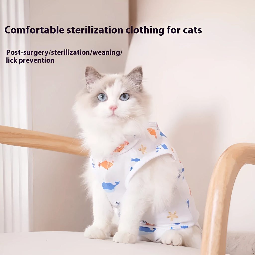 A cat wearing a blue polyester recovery suit with Velcro fastenings after sterilisation surgery.