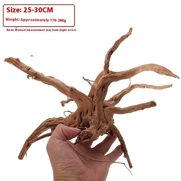 Xiaoqi root natural wood ornament for aquarium decoration on a white background