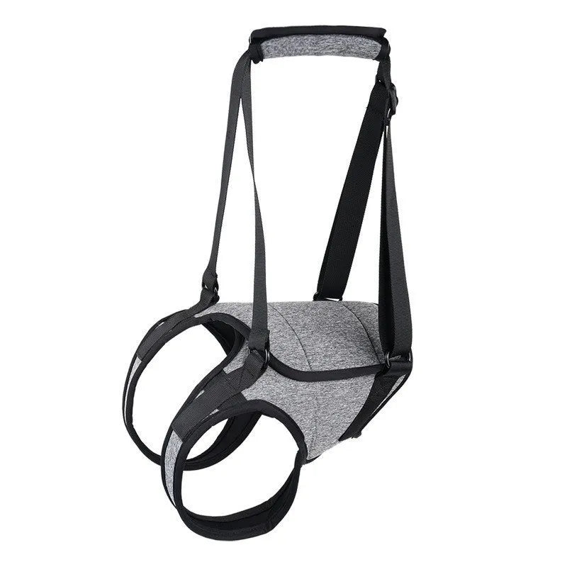 Grey neoprene dog rear leg recovery belt with adjustable straps shown on size chart