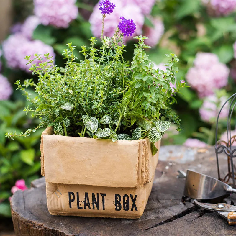 Cement flowerpot with pre-punched drainage hole in Nordic-style cement brown paper box design