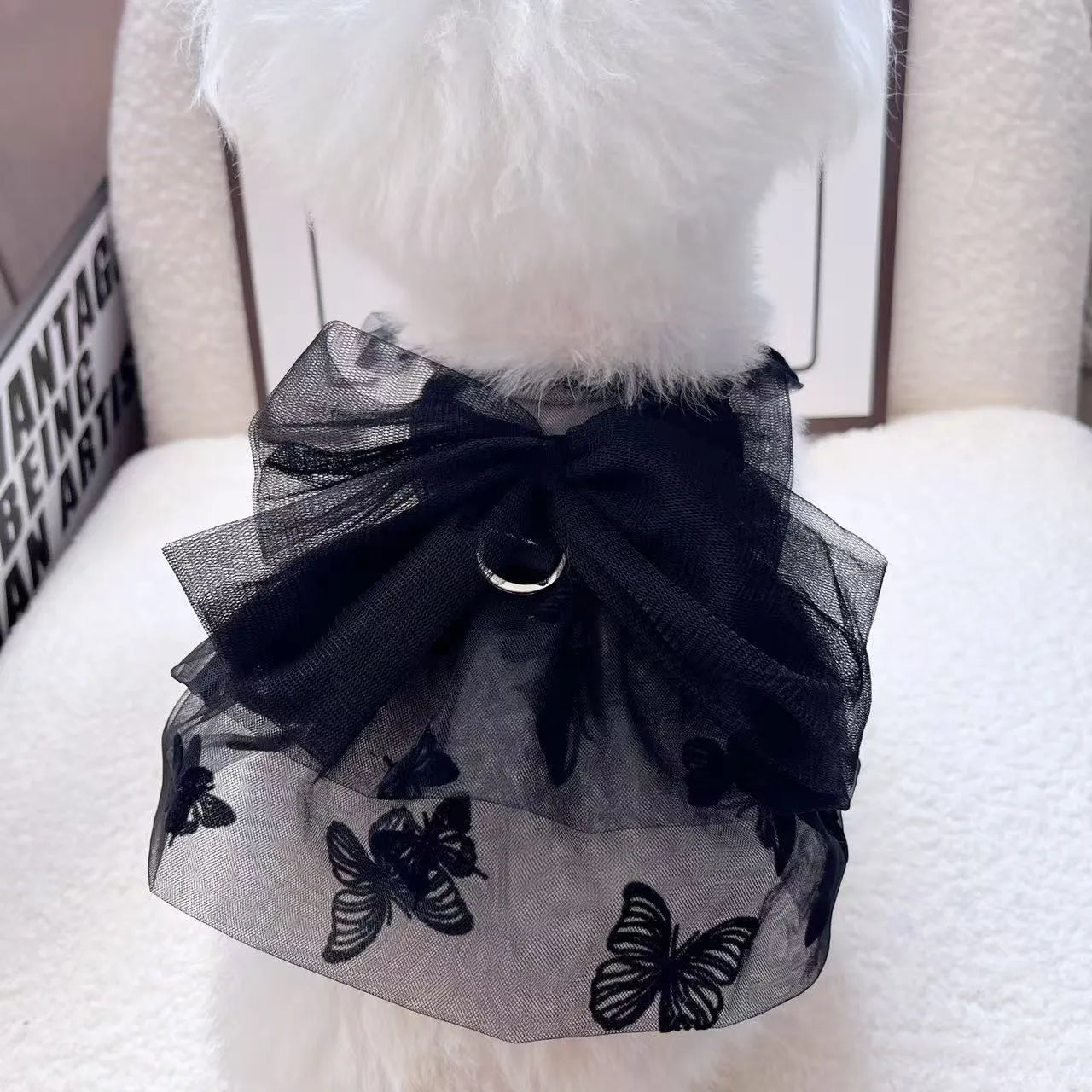 Black tulle princess skirt costume on a small dog, showing the gauze material and fit.