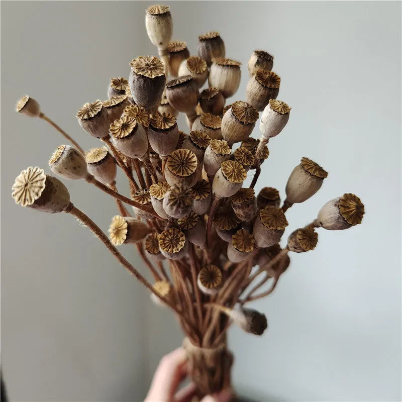 Dried flower Yu Meiren fruit DIY material bundle in multiple colours for corsage and headdress making