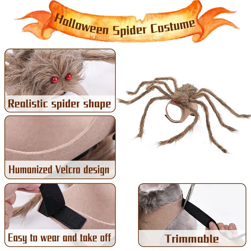 Halloween spider costume for pet dog or cat in black and purple colour