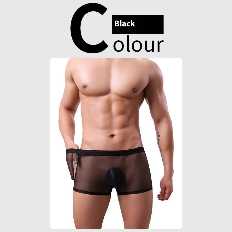 Men's thin sheer mesh boxer briefs in low waist design, shown in multiple colours including black, white, and sapphire blue.