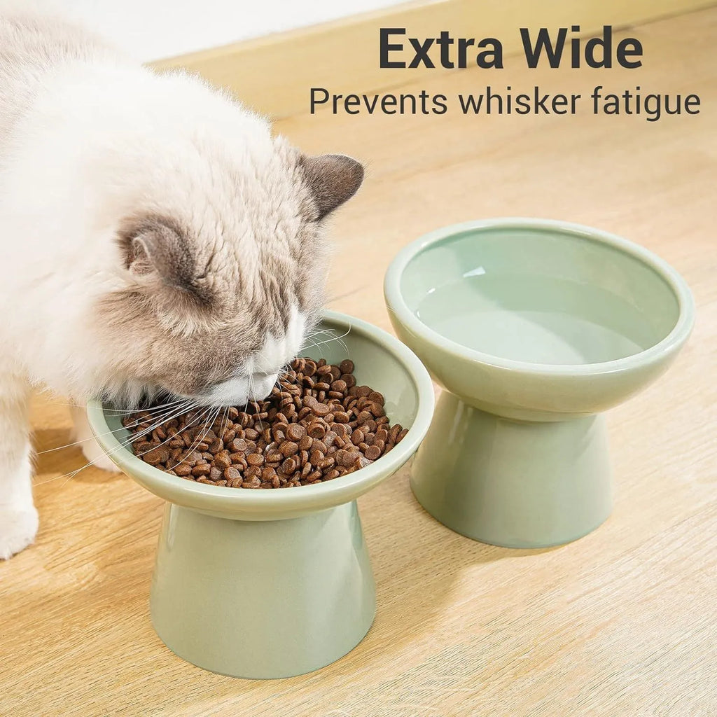 Blue ceramic elevated cat food bowl with wide shallow dish and raised base