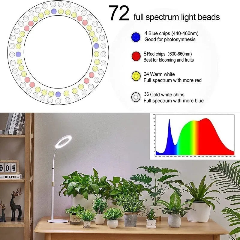 A tall, retractable aluminium floor stand with a 6-inch ring LED plant grow light at the top, positioned next to indoor houseplants.