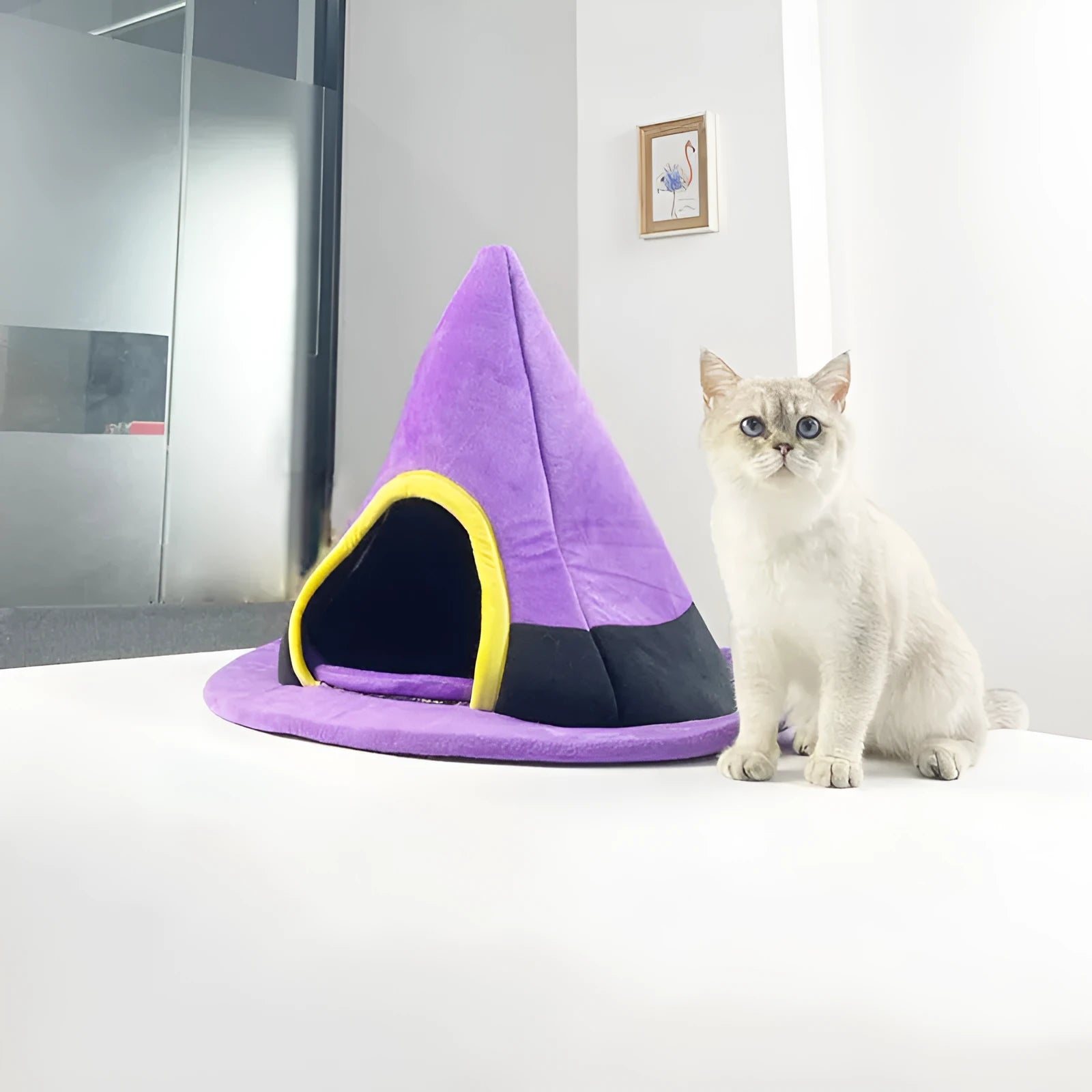 Purple witch hat shaped cat nest pet bed measuring 60x45cm
