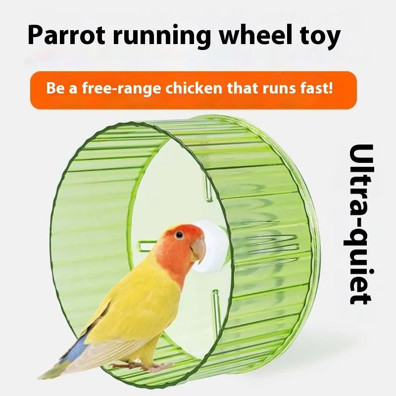A 21cm diameter plastic parrot running wheel toy in a choice of transparent, green, grey, orange, or purple colours.