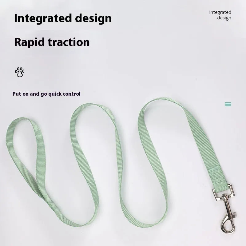 Solid colour polyester dog walking rope held in a hand, showing one of twelve colour options and its simple rope design.