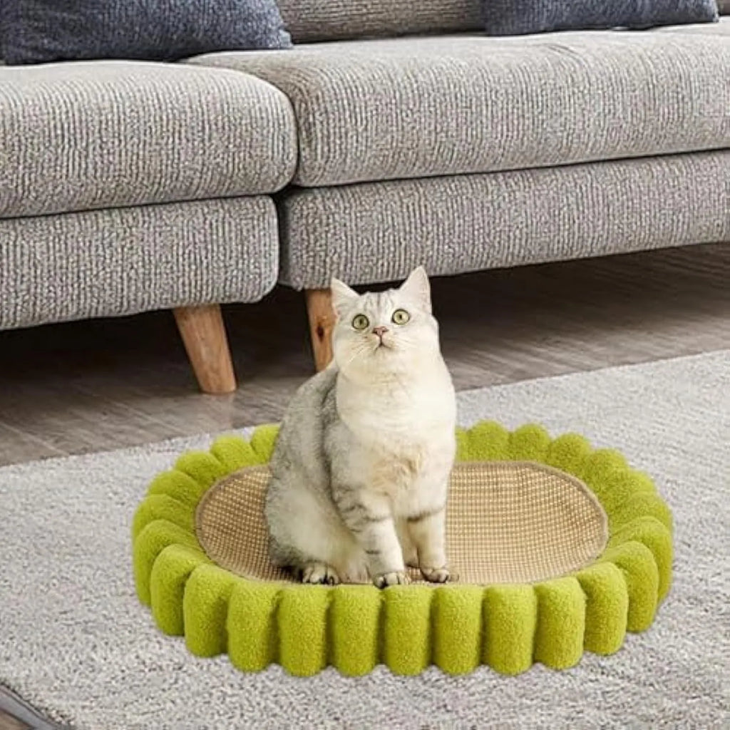 Green oval cat scratch pad bed with sisal scratching surface measuring 650x420mm